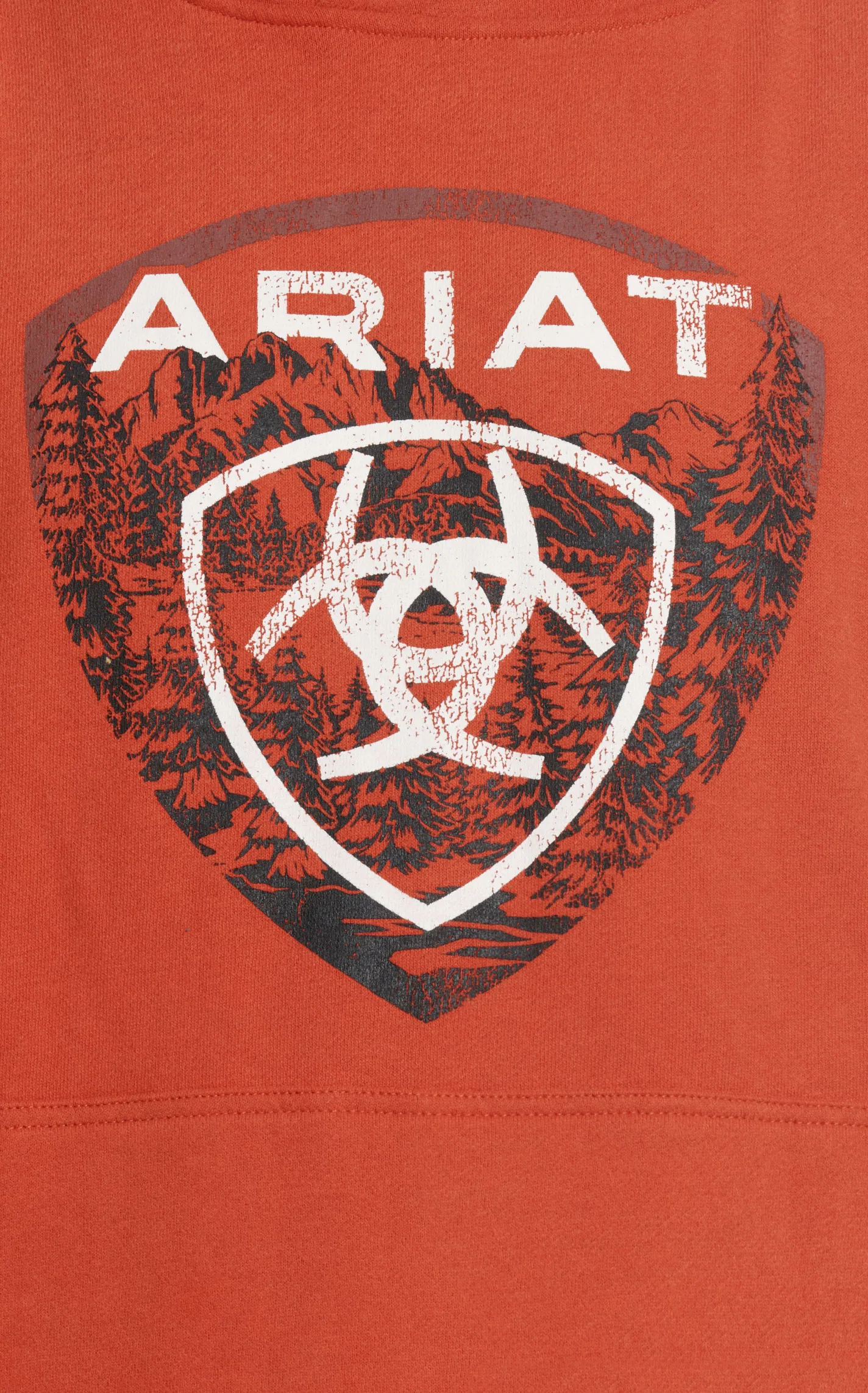 Ariat Men's Dark Tangerine & Shield Mountain Forest Graphic Hoodie