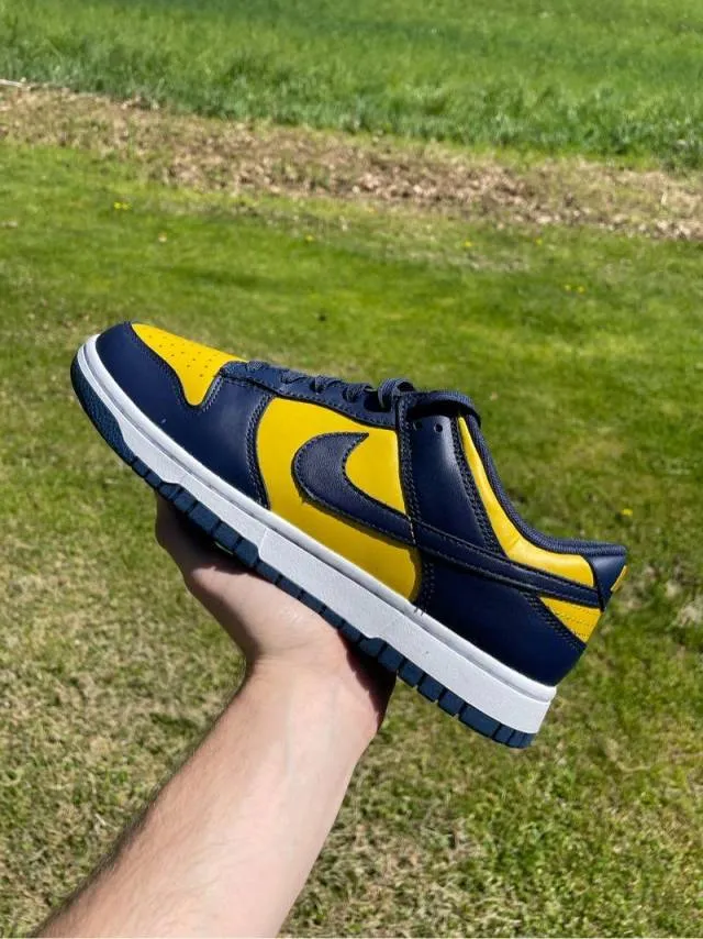 Nike dunk low michigan