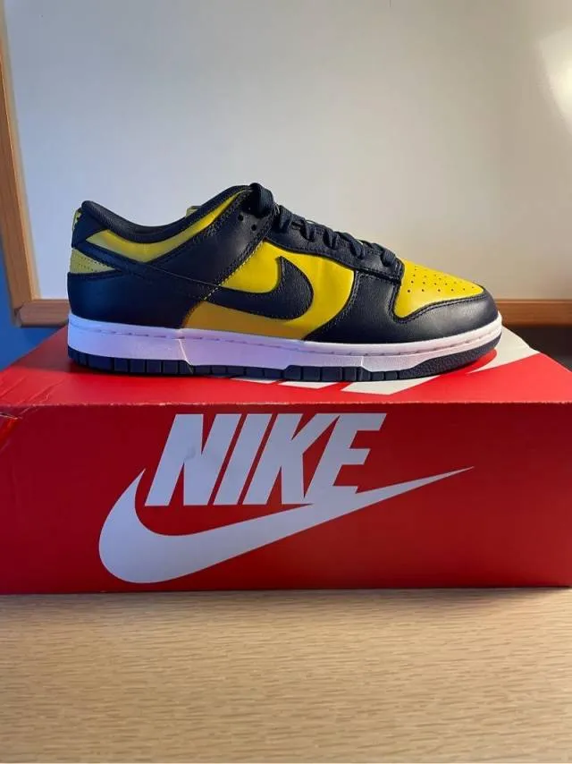 Nike dunk low michigan