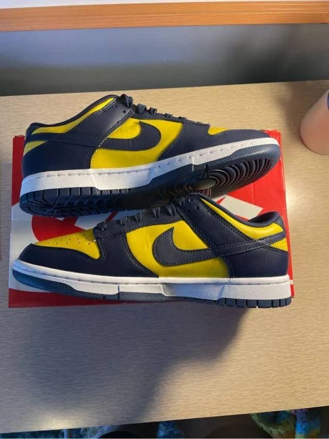 Nike dunk low michigan