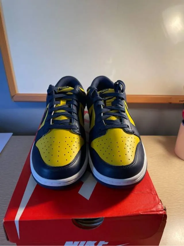 Nike dunk low michigan