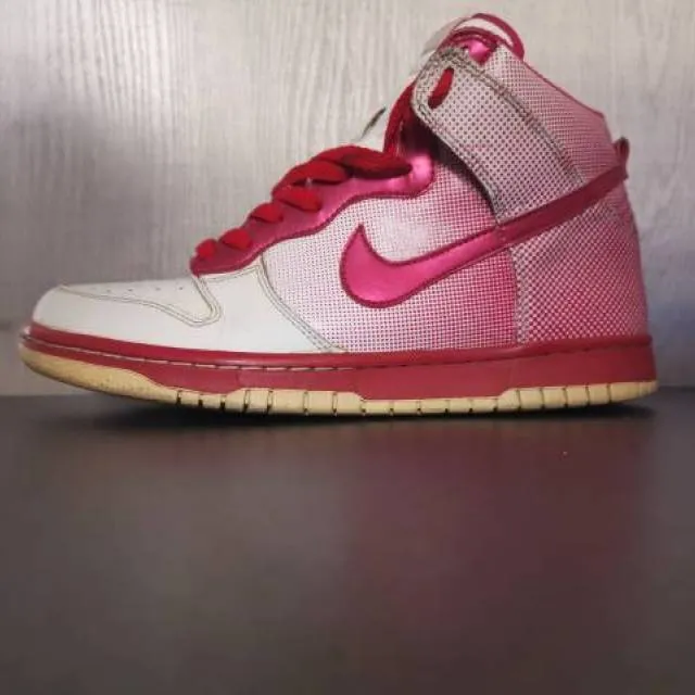 Nike dunk premium hi