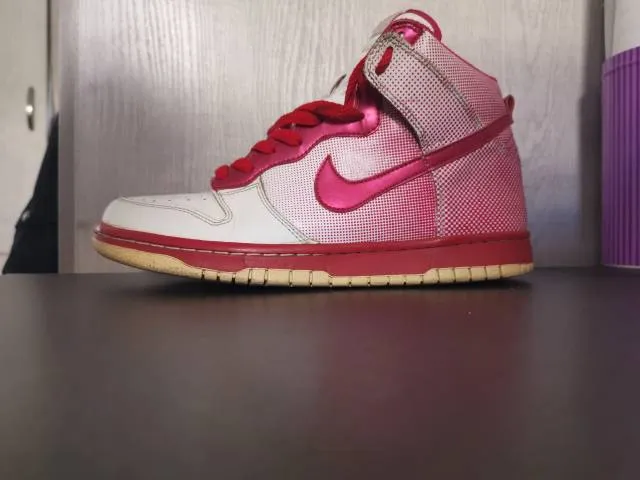 Nike dunk premium hi