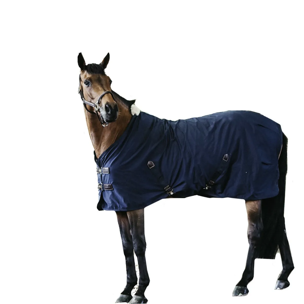 STABLE RUG COTTON SHEET MODEL NAVY