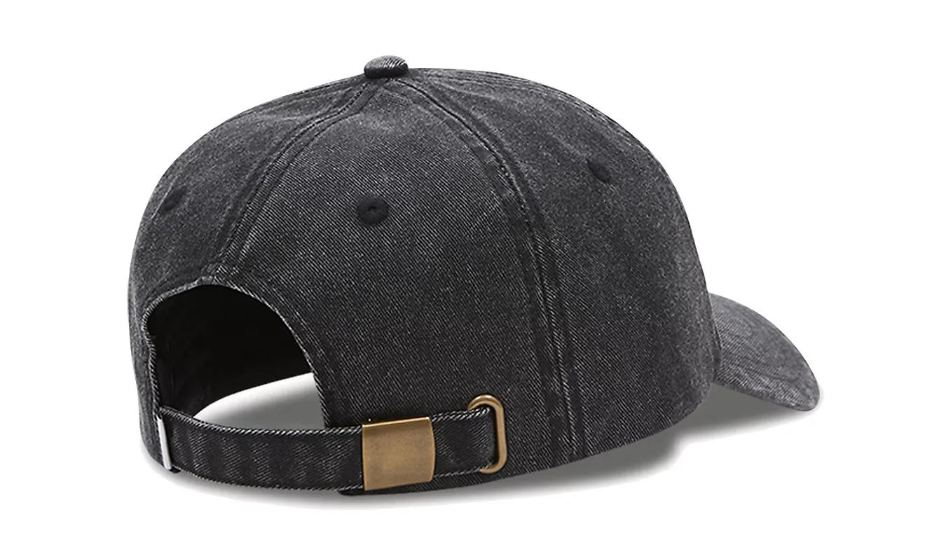 Vans Premium Logo Curved Bill Hat