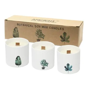 Vegan Soy Wax Botanical Candles (box of 3)